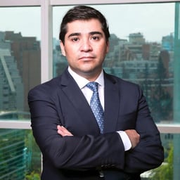 Rodrigo Riquelme Yañez