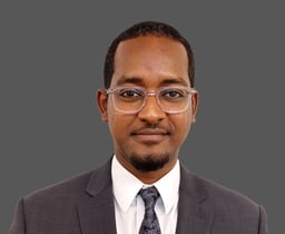 Ibrahim M. Amir