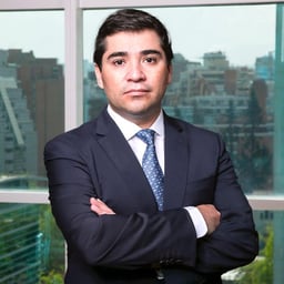 Rodrigo Riquelme Yañez