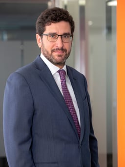 Vassilios Vizas, Partner, Leader of Tax & Legal Services