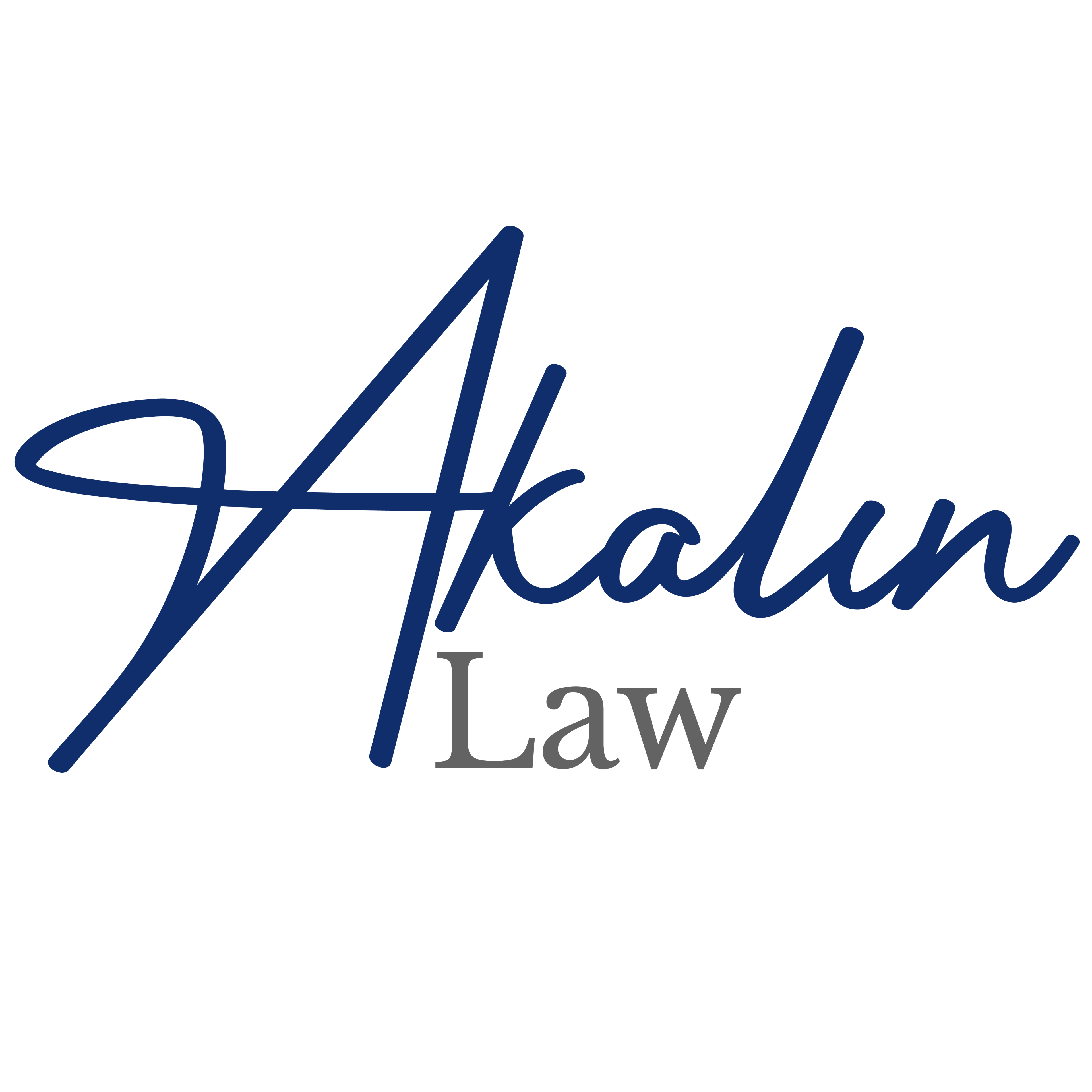 Akalin Law