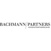 Bachmann Partners logo