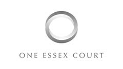 one essex company logo