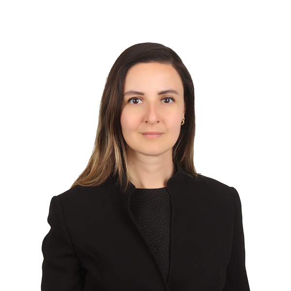 Elife Kobaner \u0026gt; Seng\u00fcler \u0026 Seng\u00fcler \u0026gt; Istanbul \u0026gt; Turkey | Lawyer Profile