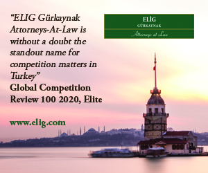 Turkey | Law firm and lawyer rankings from The Legal 500 Europe, Middle ...